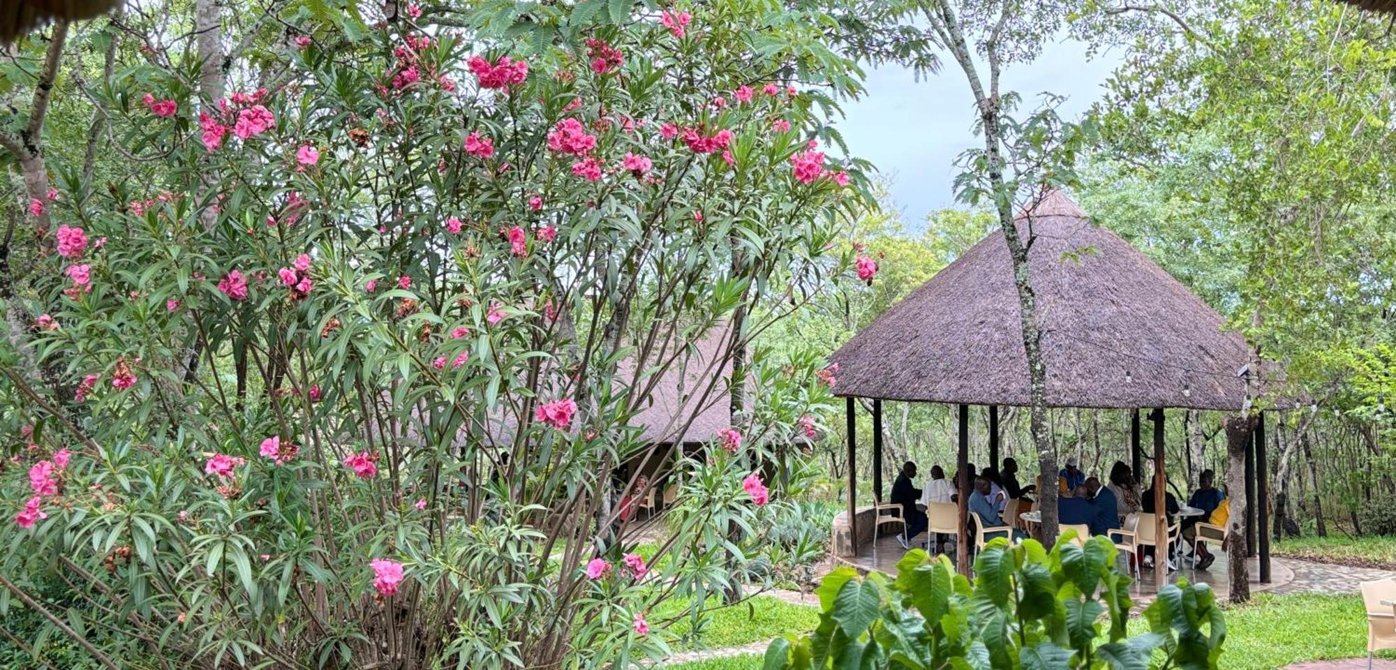 Musangano Lodge Odzi Exterior foto
